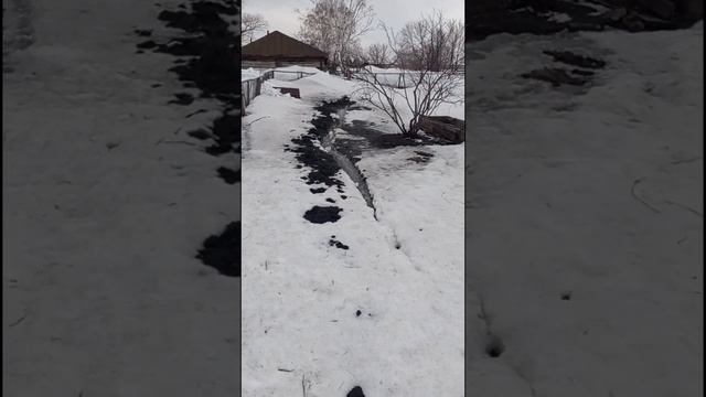 Вода уходит из сада смотреть онлайн