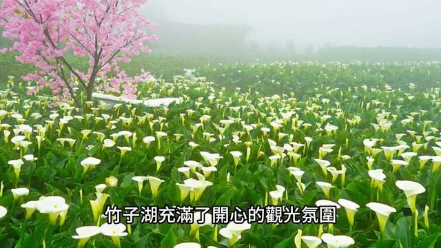 風光明媚的背後⋯夜景之外的「另類」景色？三個陽明山詭異靈界點｜下水道先生 смотреть онлайн