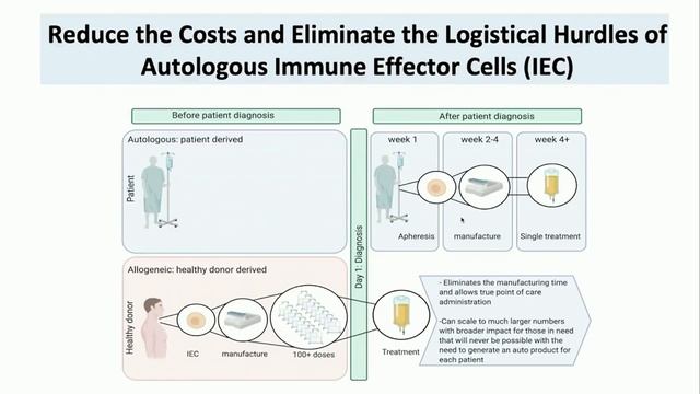 5a. Cord Blood Derived Immune Effector Cells смотреть онлайн