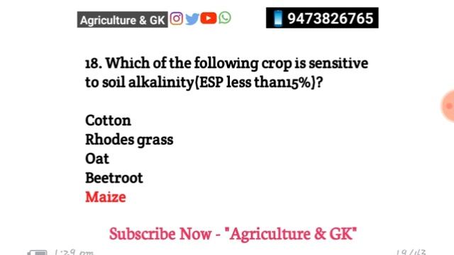 IBPS RRB Agriculture Officer Solved Question Paper|IBPS RRB SO Previous Year Paper|Agriculture & G смотреть онлайн