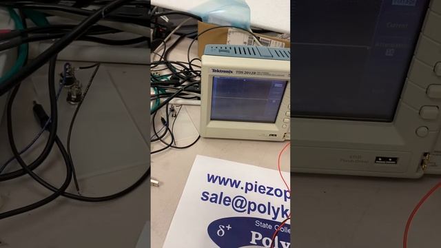 Robust Strong Piezo PVDF Sensor смотреть онлайн