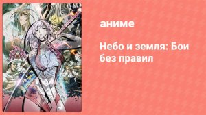 Небо и земля: Бои без правил 1 серия «Кулак дракона» (аниме-сериал, 2004)