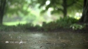 Медитация без слов 10 минут | Медитация музыка звуки природы  | Музыка для медитации