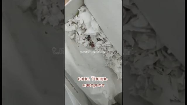 Доставили живых мышей с маркетплейса Ozon смотреть онлайн