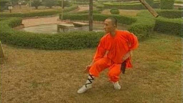 Шаолинь Тайзу чанцюань смотреть онлайн