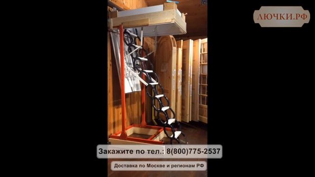 Автоматическая лестница Minka Type 18 Universe смотреть онлайн