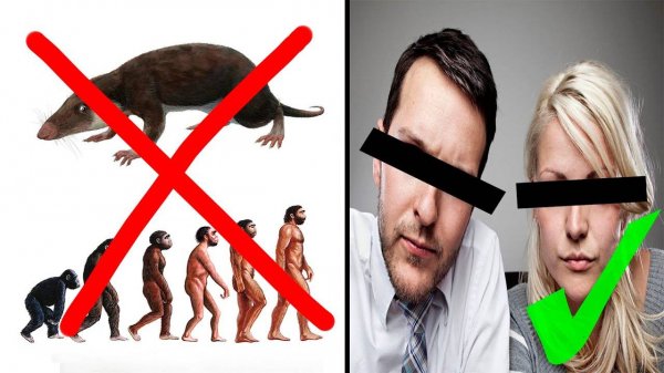 (НЕ)ПОКАЖИ ЭТО ВИДЕО СВОИМ ПРЕДКАМ!!