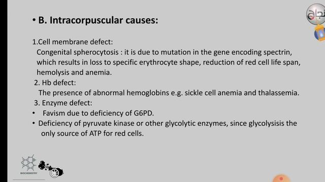 Heme Catabolism , Bio , L 3 смотреть онлайн