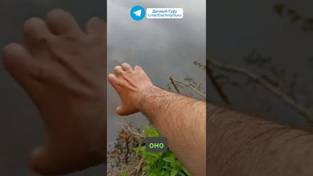 Умные истории для разума