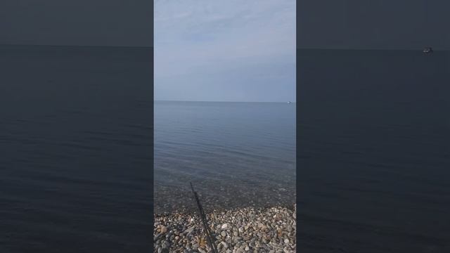 Утренний улов. 15.06.2024.Температура воды в море 24 градуса. #ukulele #guitarra #cover #рыбалка смотреть онлайн