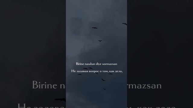 nasılsın? смотреть онлайн