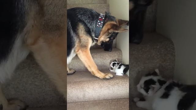 помощь детям