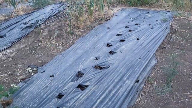 вкусная сочная жареная курочка смотреть онлайн