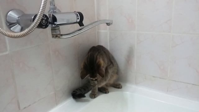 Яша & Кася - "Кася и капельки" смотреть онлайн