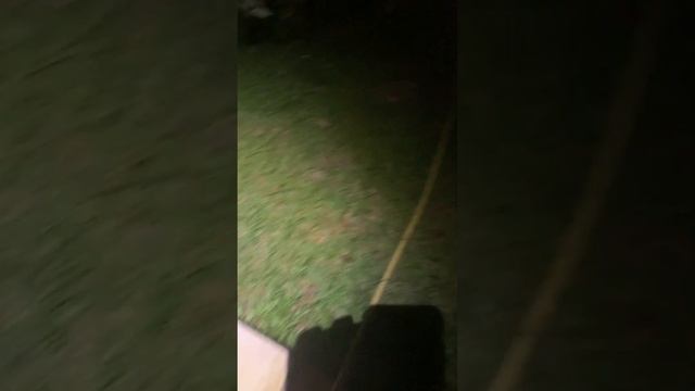 L'or bleu : Du puits à la piscine par la pompe de cale via le tuyau. смотреть онлайн