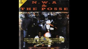 N W A  & The Posse   N,W,A & The Posse   CD2