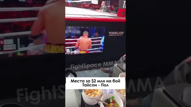 VIP Места за 2 миллиона долларов на бой Майк Тайсон - Джейк Пол | FightSpaceMMA смотреть онлайн