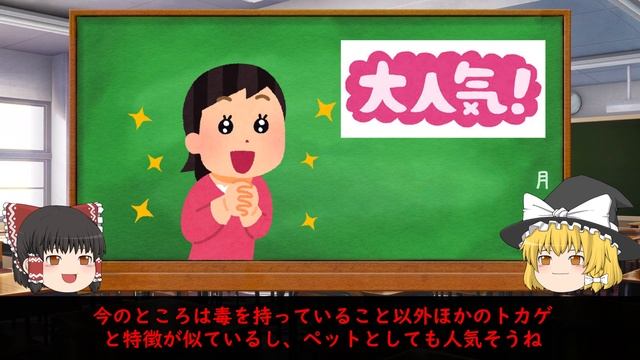 【激レア生物⁉】世界でたった2種ドクトカゲとは…【ゆっくり解説】 смотреть онлайн