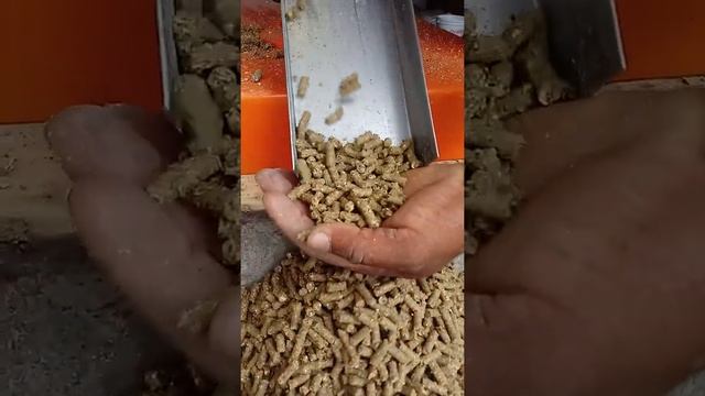 produçao de raçao com maquina peletizadora😉 смотреть онлайн