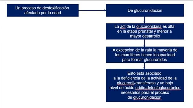 Explicación tema 2 Factores implicados en una intoxicación смотреть онлайн