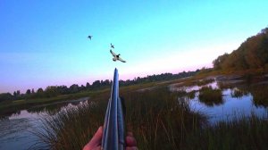 ЛУЧШИЕ МОМЕНТЫ С ОХОТЫ НА УТКУ. ОСЕНЬ 2024г.