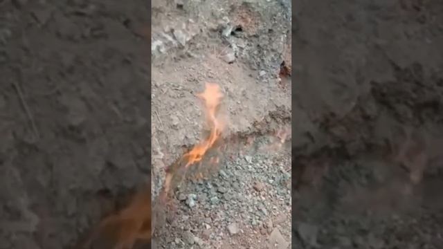 Красный фосфор 🔴 #short смотреть онлайн