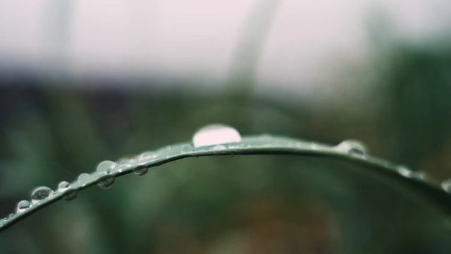 Summer rain смотреть онлайн