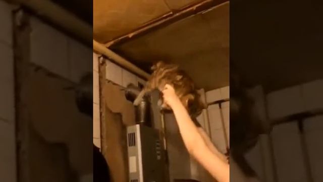 Один день из моей жизни | БЕДНЫЙ КОТ смотреть онлайн