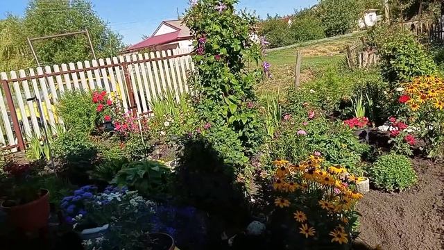 Будни в деревне.Субботнее утро. смотреть онлайн