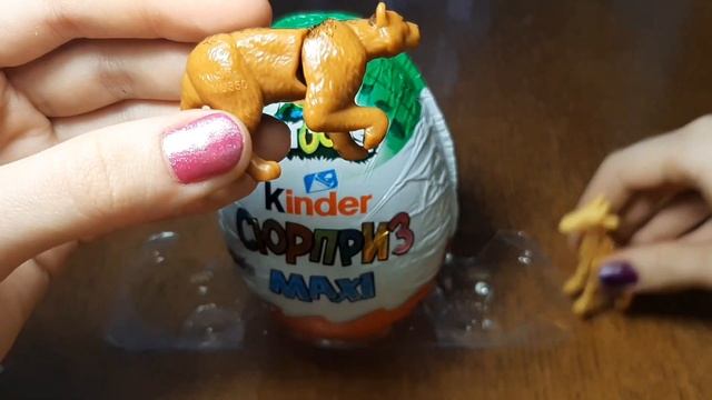 КИНДЕРЫ НАТУНС