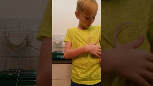 Мой Фараончик смотреть онлайн
