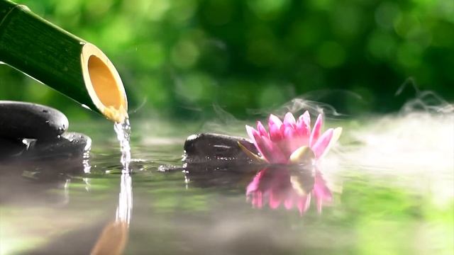 Bamboo Water Fountain Healing 24/7 Relaxing music with the sounds of nature Bamboo Water Fountain смотреть онлайн