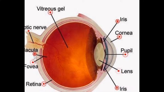 Eye Part смотреть онлайн