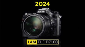 Nikon D7100 VS Z50 переобзор в 2024 году