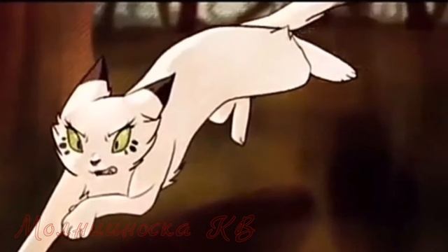 Коты-Воители Not Gonna Die смотреть онлайн
