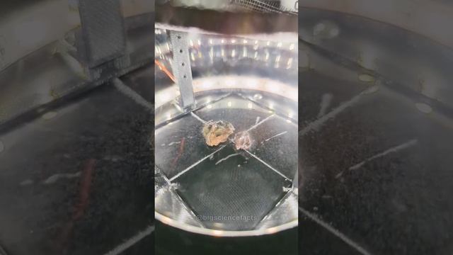 Uranium element/#science #uranium #astronomy смотреть онлайн