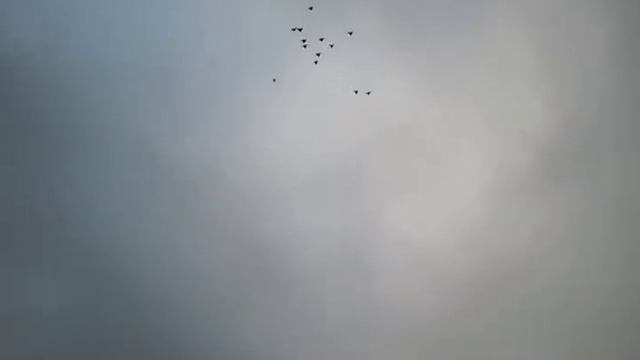 Ветер восточный смотреть онлайн