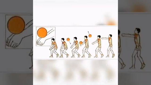 Доппен орындалатын жаттығулар