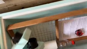 обзор самых лучших инкубаторов