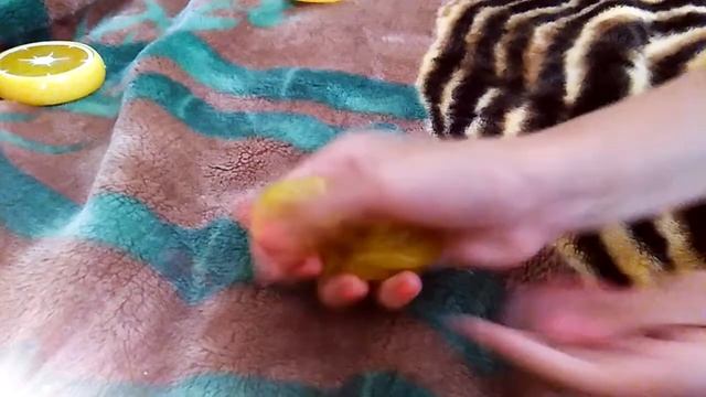 Видео о лизунах!!!! смотреть онлайн