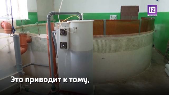iZ НОВОСТИ - 20 ИЮЛЯ 2022 смотреть онлайн