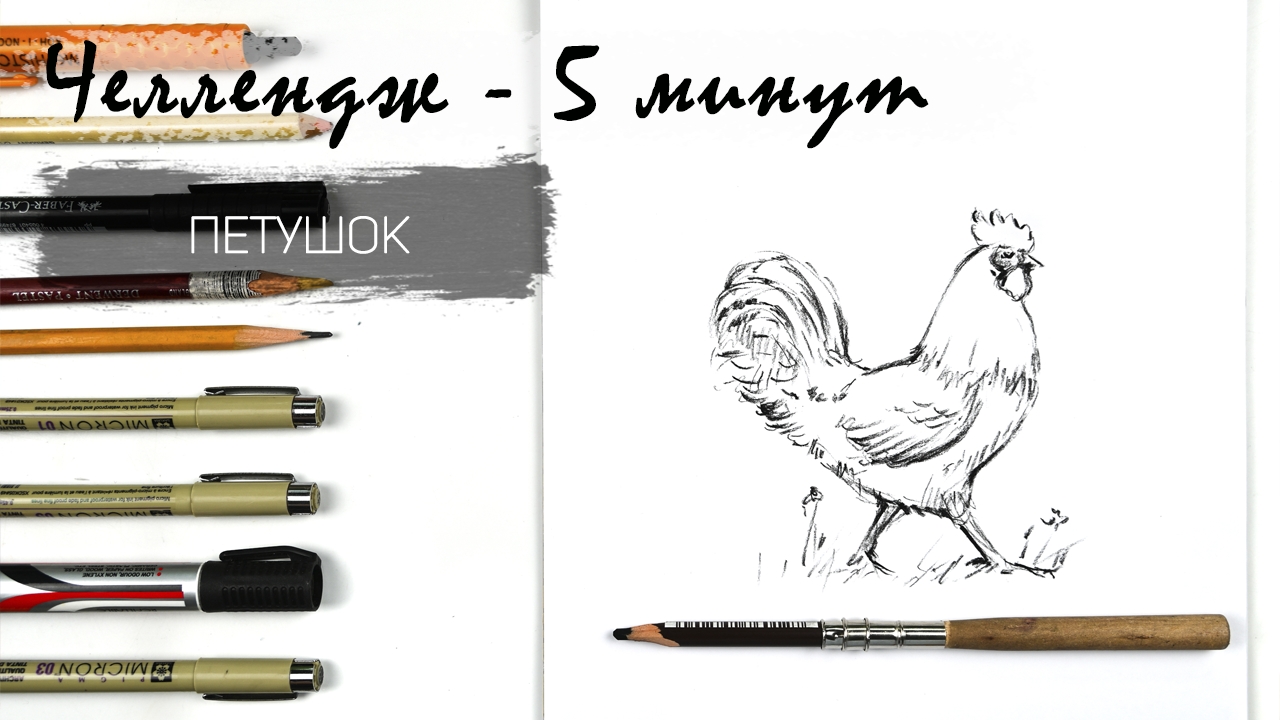 Петушок за 5 минут простым карандашом. Рисуем регулярно. Быстрые наброски смотреть онлайн