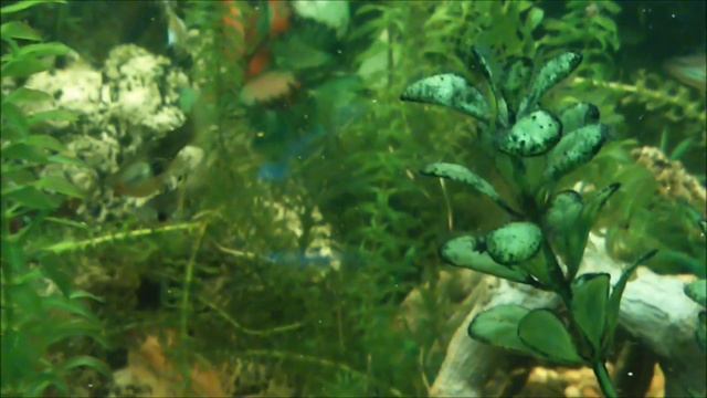 Две минуты под водой. смотреть онлайн