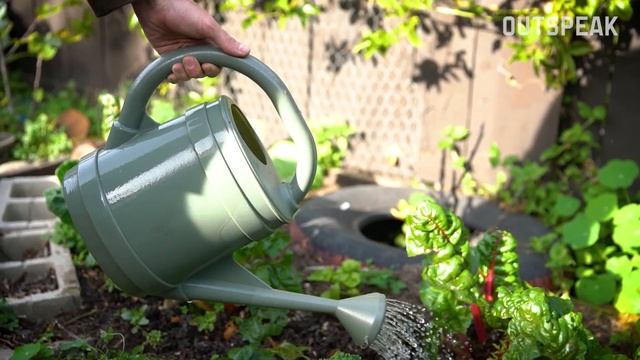 Sustainable Dad Creates Permaculture Homestead on a Typical City Lot смотреть онлайн