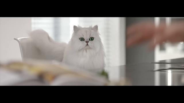 Purina Gourmet смотреть онлайн