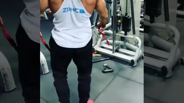 TRAINING WITH ZPHC смотреть онлайн