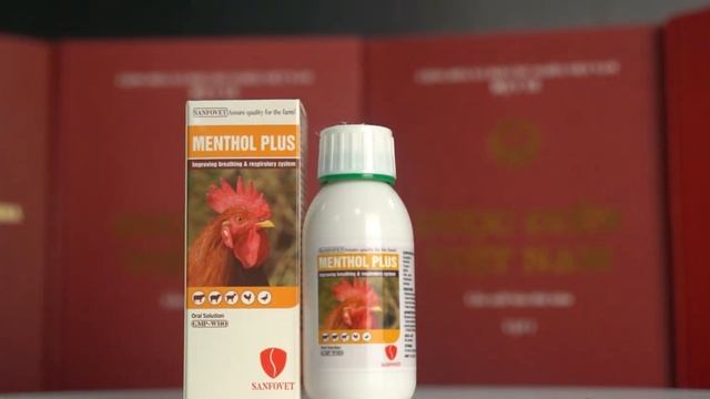 Menthol Plus Bangladesh смотреть онлайн