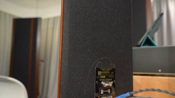 Собственная демонстрация программы СтереоПравда и портала AVREPORT на Hi-Fi & High End Show