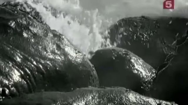 Ежедневник НикА за 20 сентября смотреть онлайн