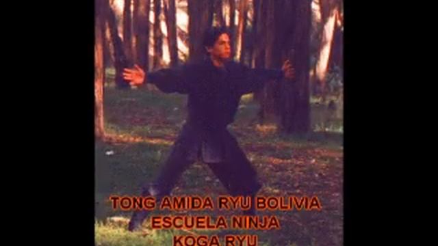 THIS IS REALLY NINJUTSU смотреть онлайн